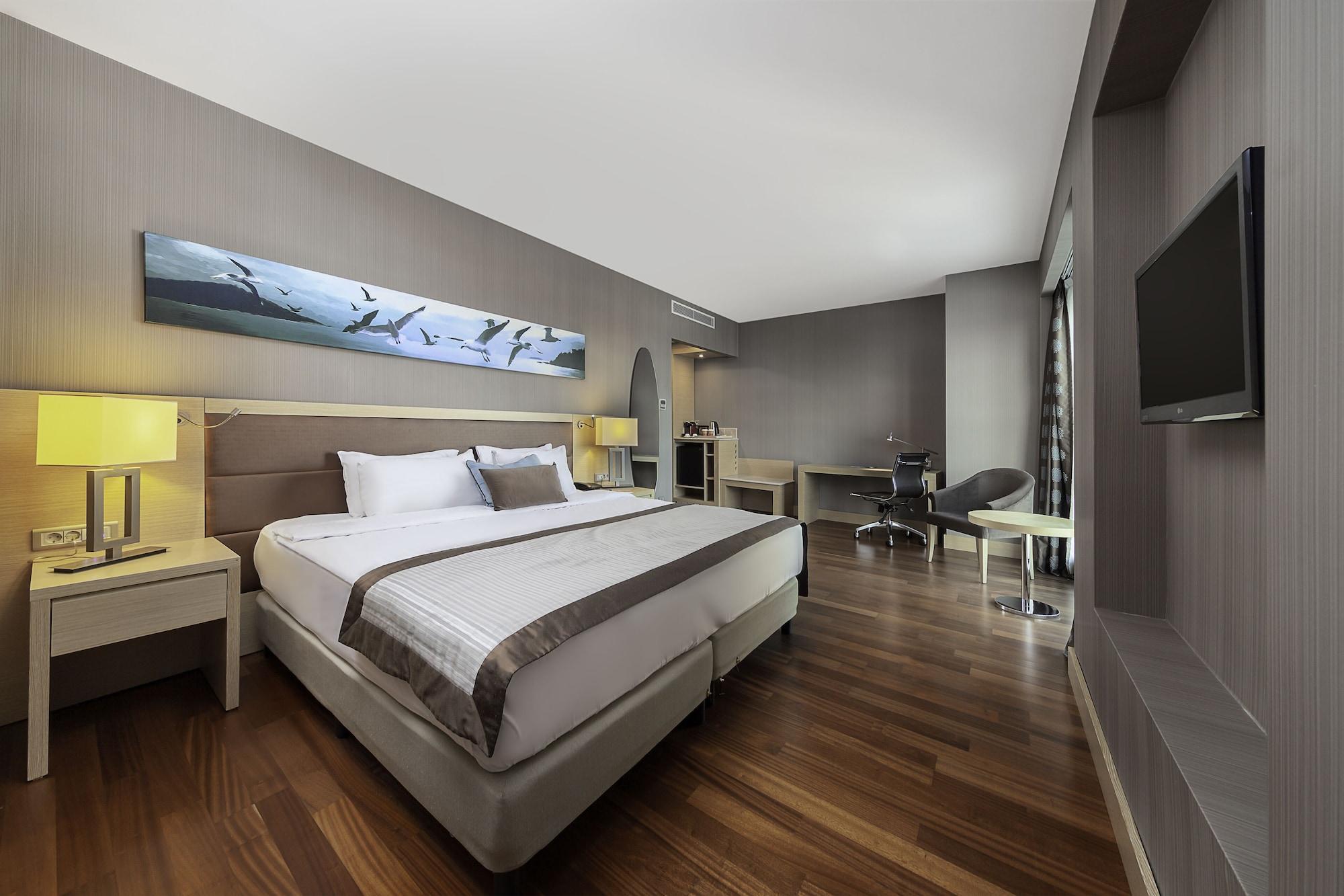 데데만 보스탄시 이스탄불 호텔&컨벤션 센터 외부 사진 Deluxe Room